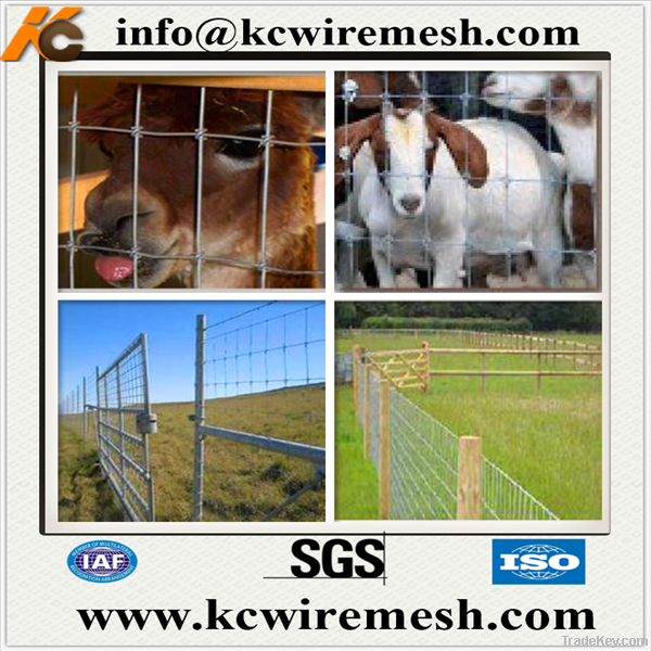 Grassland fence, livestock fence, animal fence