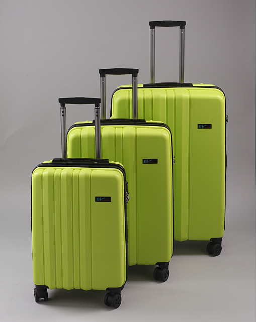 H2 luggage