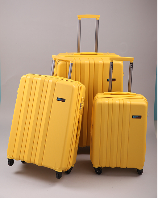 H2 luggage