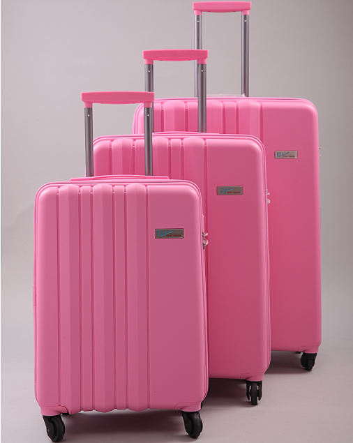 H2 luggage