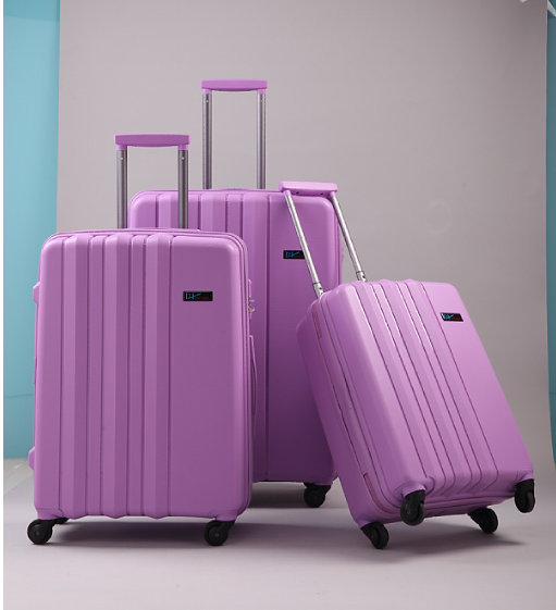 H2 luggage