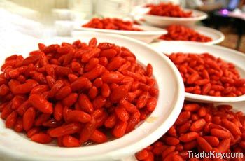 Chinese goji berry