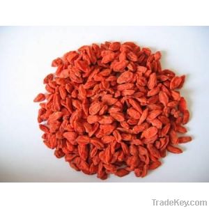 High quality Ningxia goji berry