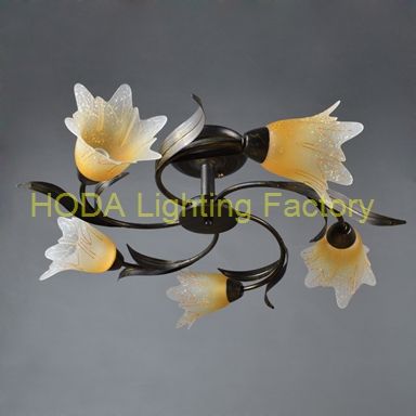 low price high quality ceiling lamp