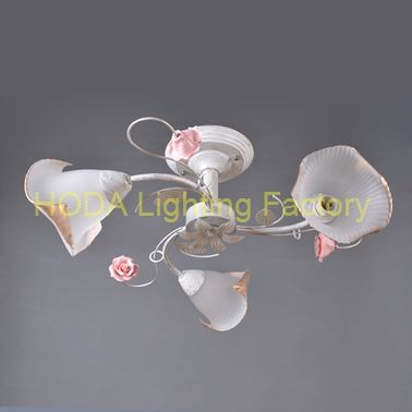 low price ceiling lamp