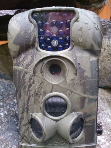 Details about  Little Acorn 5210a 12mp Wildlife Camera Latest Model Just In No Glow