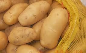 High Quality Fresh Potatoes
