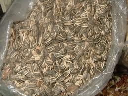 Sunflower seeds