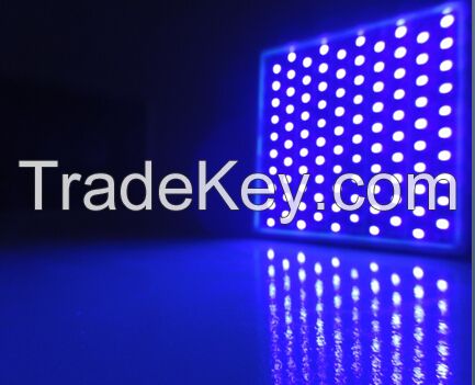 UV LED Panel Curing System