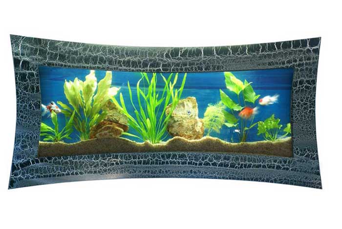 wall mounted aquarium