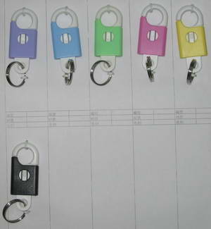 key holder