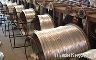 Electric Galvanized Iron Wire and other wire mesh