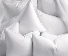 Pillow & Cushion