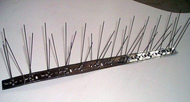 stainless steel 304 bird spike