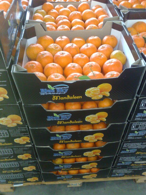 fresh mandarin(Spanish morket)