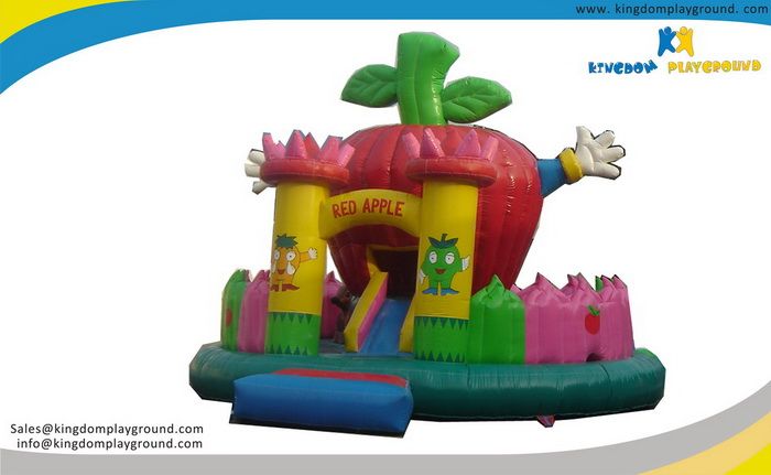 Indoor playground equipments