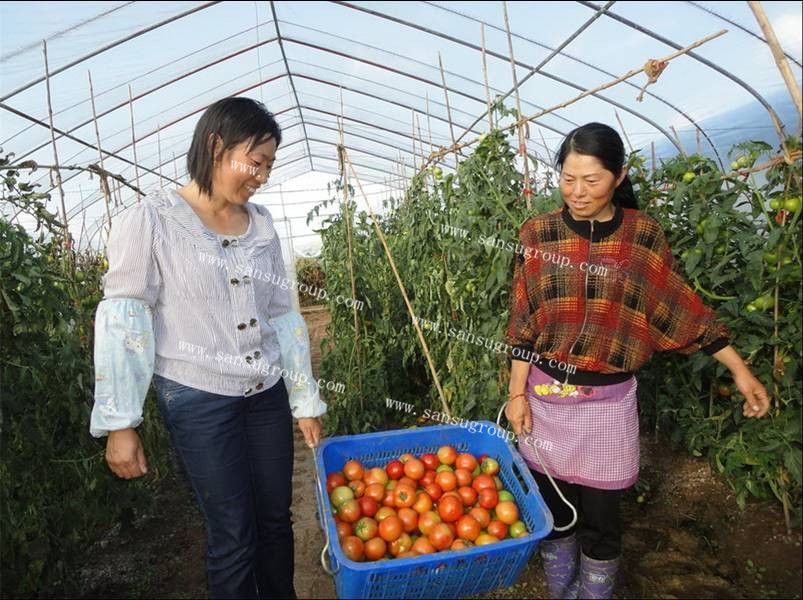 high quality coating  greenhouse film for agriculture