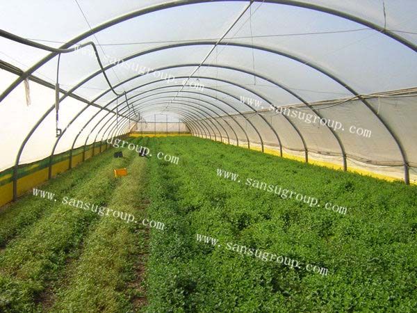 high quality anti-aging  greenhouse film for agriculture