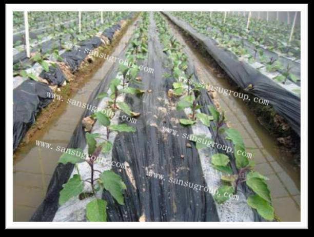 high quality color matching mulch film for agriculture