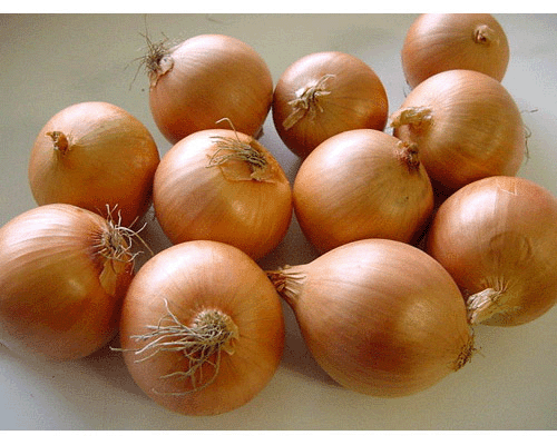 onion
