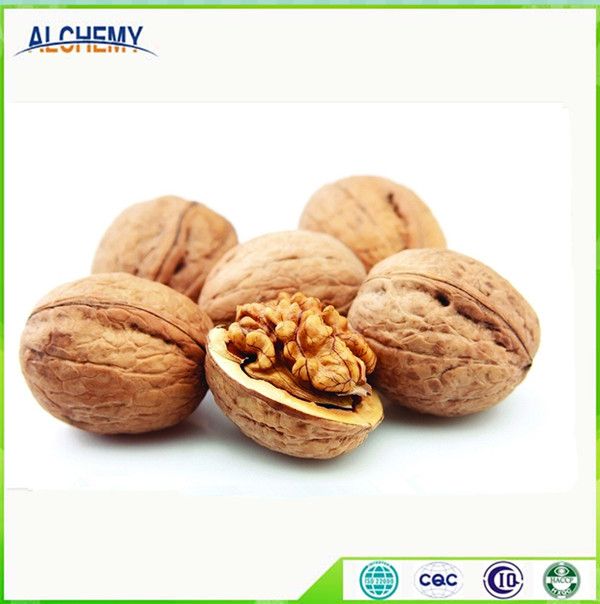 Walnut Kernel