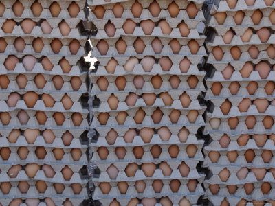  2013 Fresh brown chicken eggs