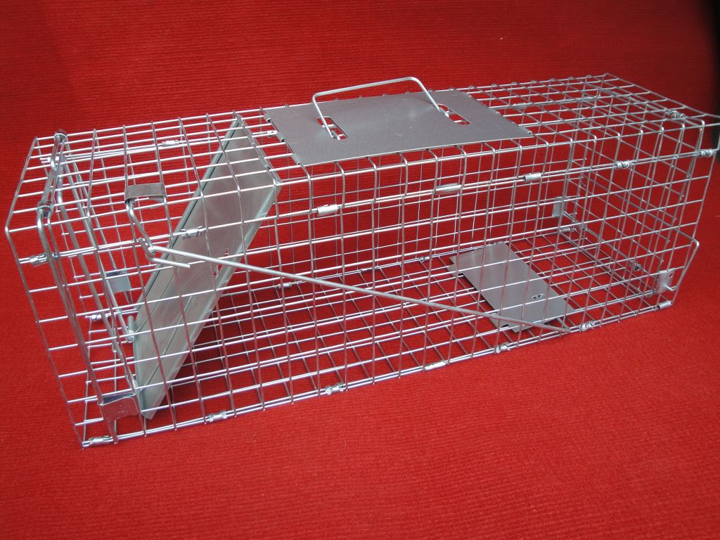  	Folding Grey Squirrel Cage Trap