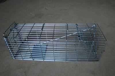  	Wire Mesh Door Rat Cage Trap