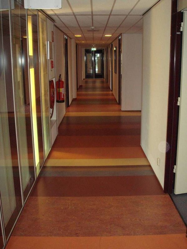 anti-bacterial and anti-fungal healthcare flooring