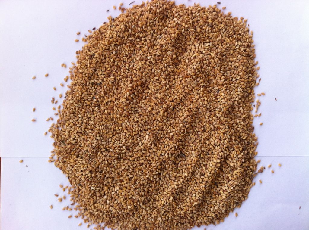 Turkish Golden/Yellow Sesame Seeds