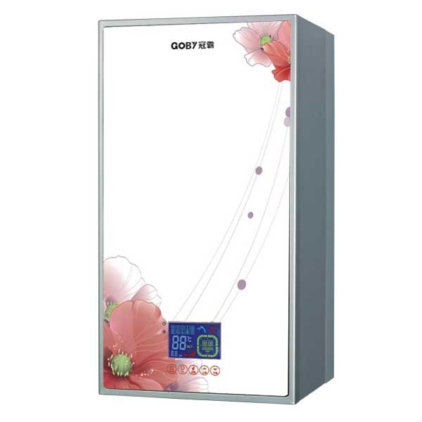 Hot Sale High Efficiency Wall Hung Natural Gas Boiler for Home