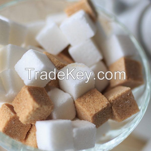 Global wholesale exporters ICUMSA white Cane Sugar, molasses, Sugar Power