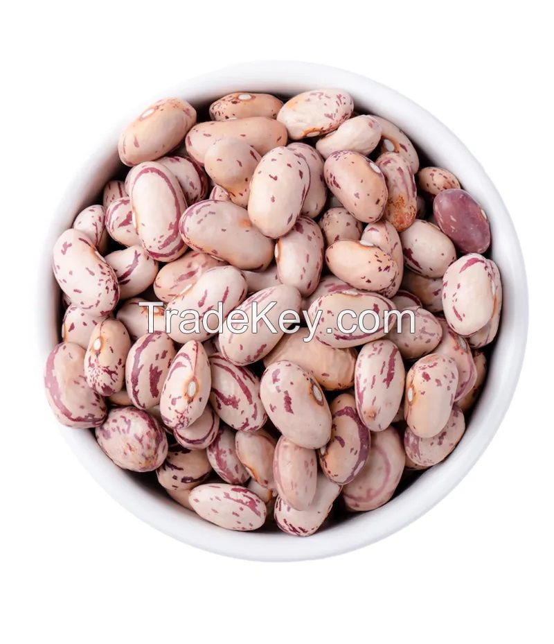 High Quality White Kidney Beans , Adzuki Beans, Speckle Kidney Beans, , Lentils, red Beans, Pulses Exporters, Growers, Suppliers
