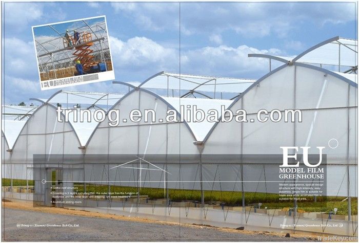 EU model Multi span plastic film greenhouse