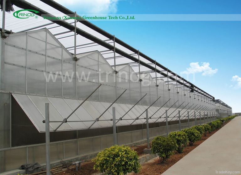 Polycarbonate greenhouse PC8000/9600Venlo