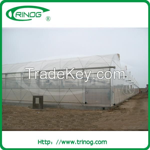 Plastic film cover greenhouse for agriculture