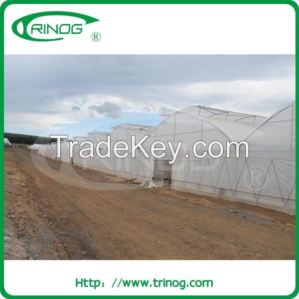 Plastic film cover greenhouse for agriculture