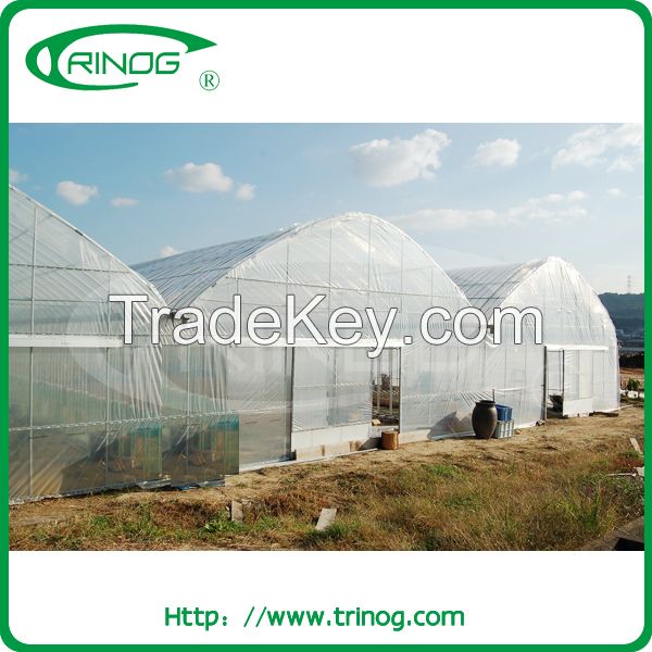 Economical film cover greenhouse for agriculture