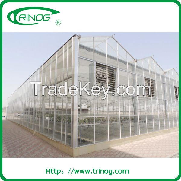 High light transimission glass greenhouse for agriculture
