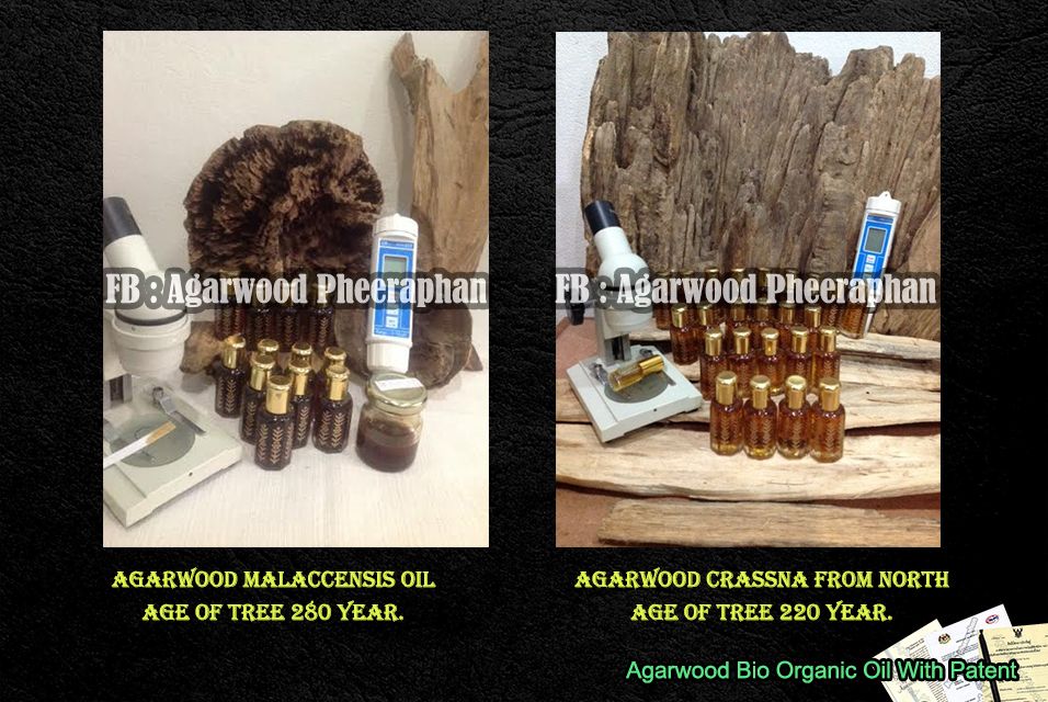 Pure Agarwood oil