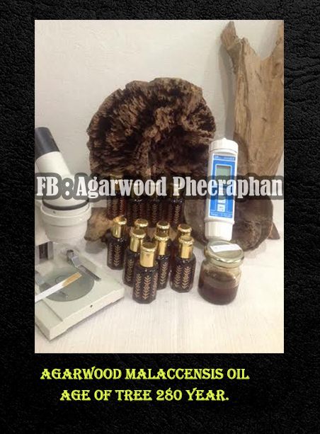 Agarwood Malaccensis Oil
