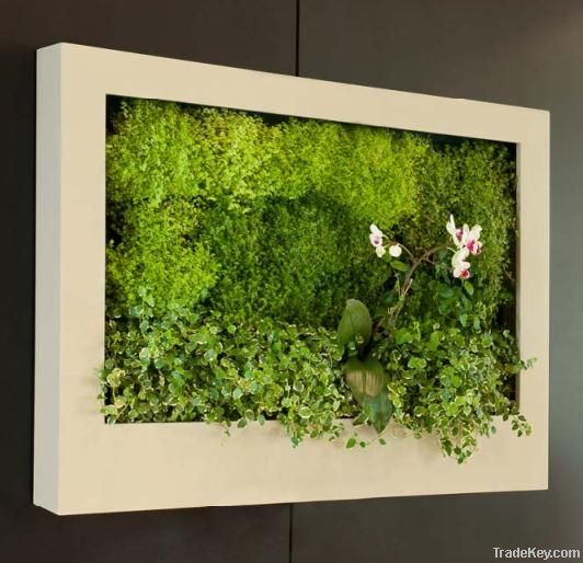 green living frame