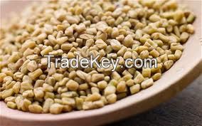 High  quality  Fenugreek