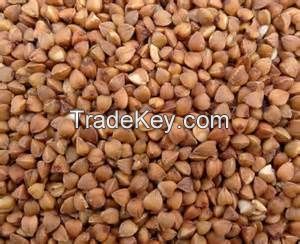 High  quality buckwheat grain 