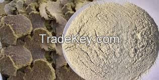 High  quality  cotton seed meal