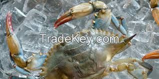 High  quality   soft shell crabs