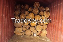 High  quality  Mahogany Tree, Bete, Eben, Cam RosaTimber Log and Lumber