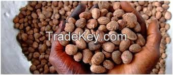 High  quality   karite nuts 