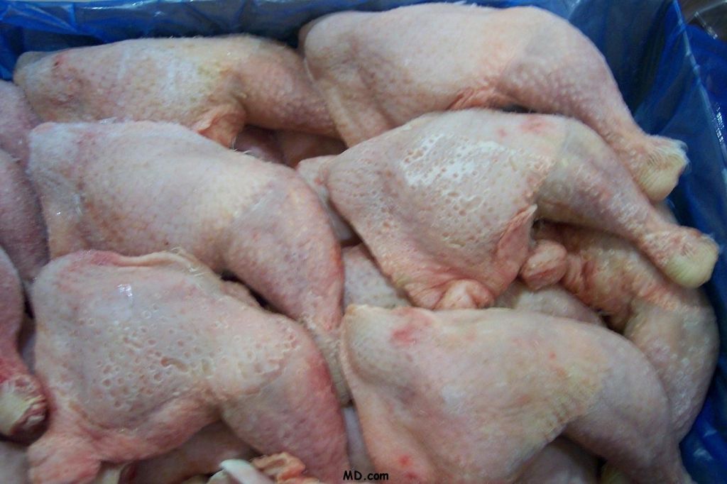 Halal Frozen Chicken Parts