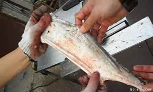 fish skin cleaning machine/ fishj skin removing machine/ fish skinner